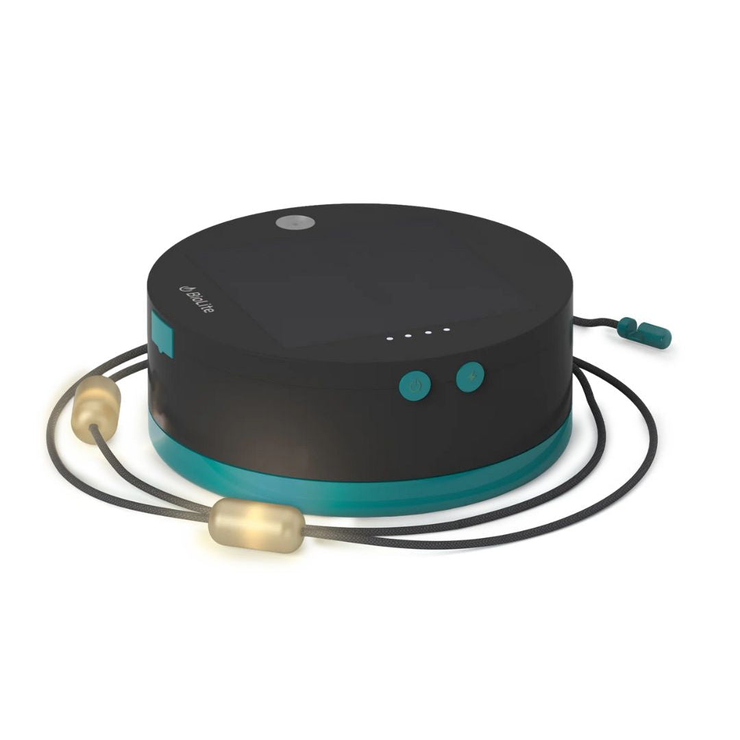 BIOLITE - Guirlande Solaire